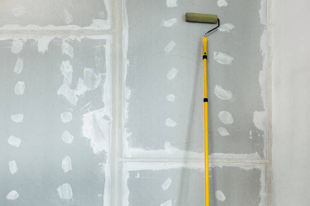 Professional Mold Removal in Estell Manor, NJ
