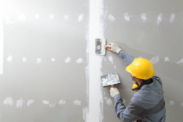 Best Mold Remediation for Rental Properties  in Estell Manor, NJ