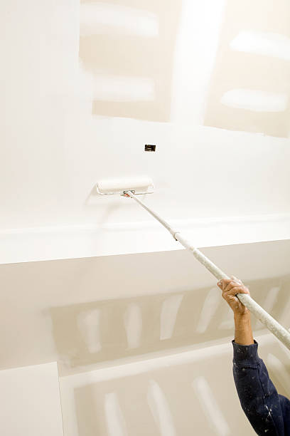 Best Mold Documentation for Insurance Claims  in Estell Manor, NJ