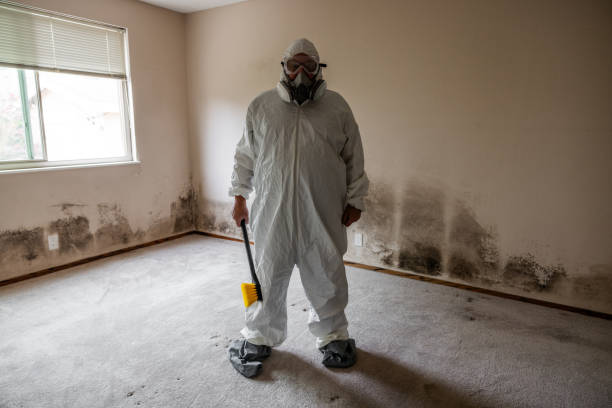 Best Air Quality Testing for Mold Spores  in Estell Manor, NJ