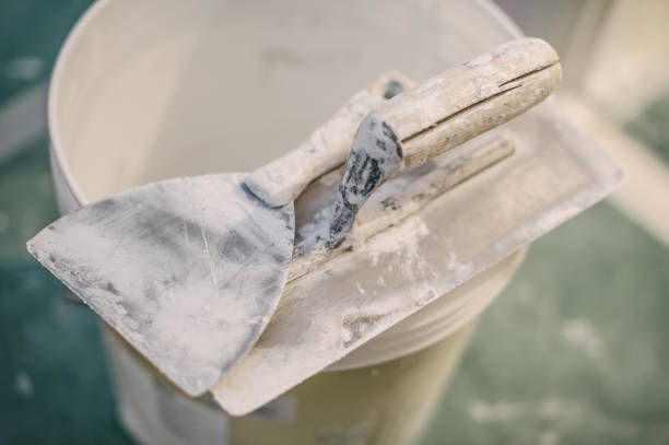 Best Real Estate Mold Inspection  in Estell Manor, NJ